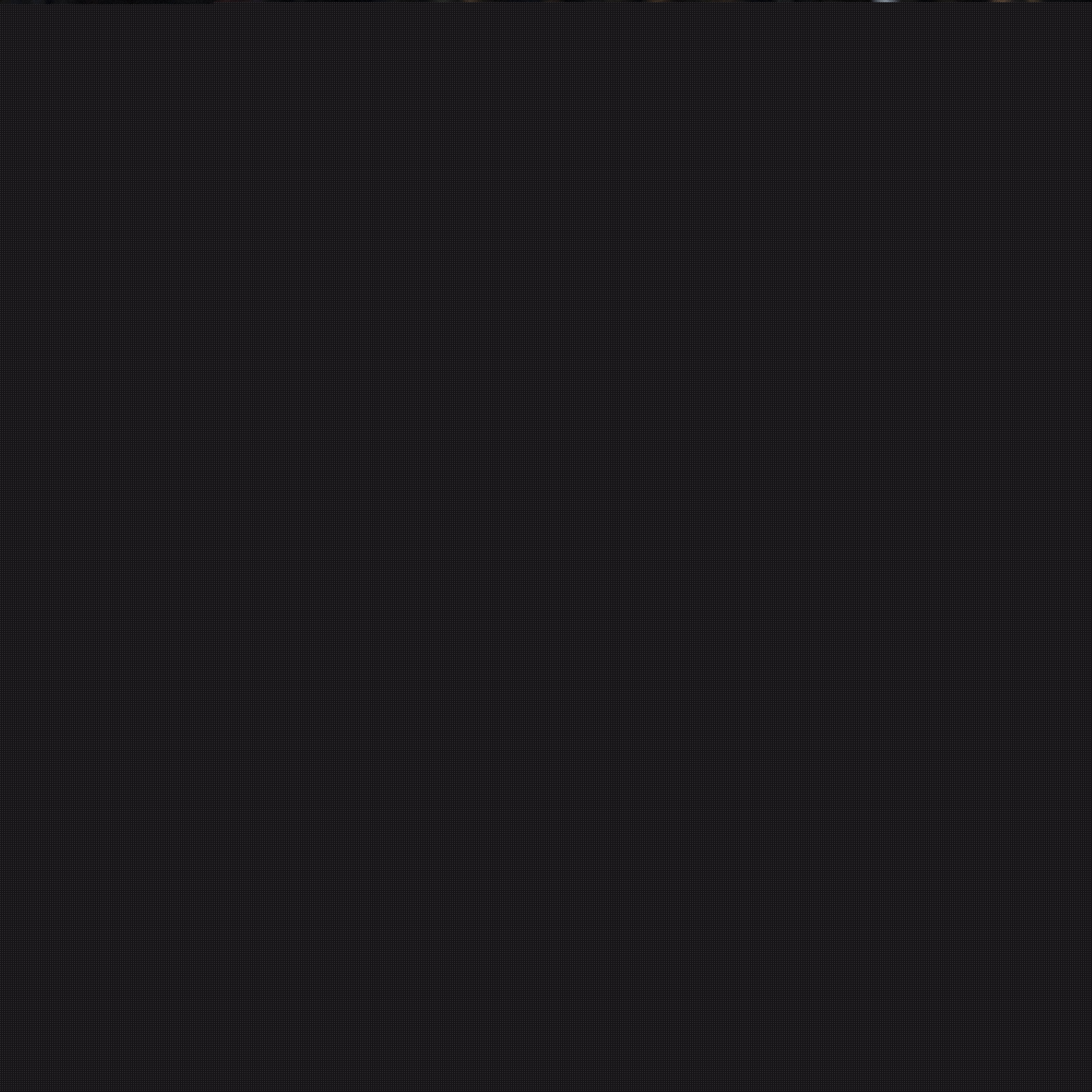 统治联盟的